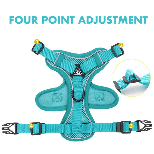 Lightweight Pet Harness