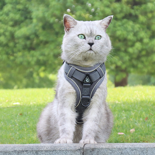 Lightweight Pet Harness