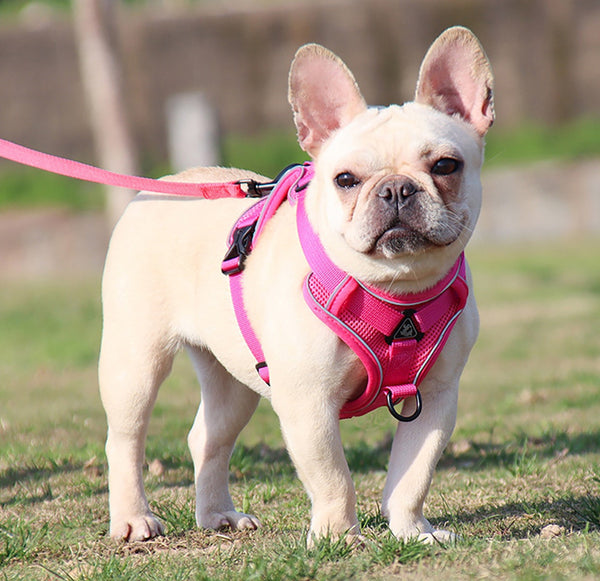 Cat Harness, Reflective Lightweight Cat and Dog Vest Harness