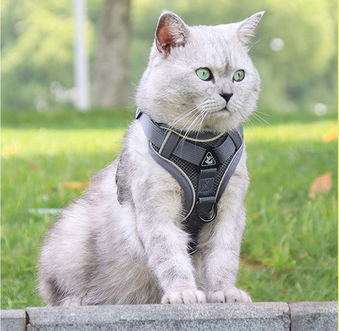 Cat Harness, Reflective Lightweight Cat and Dog Vest Harness