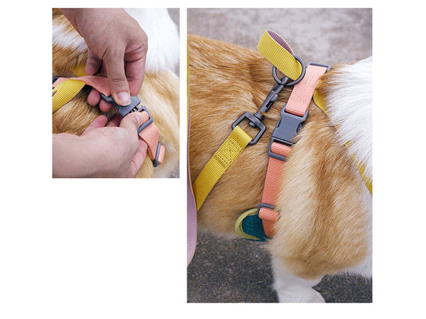 Dog Chest Harness and  Dog Leash Set, Cooling Mesh Harness and Leash for Dogs