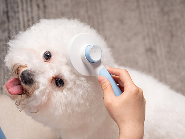 Self Cleaning Pet Grooming Brush