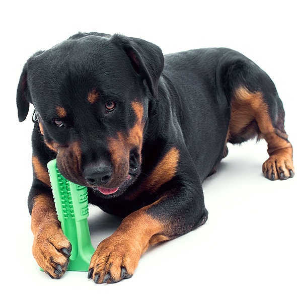 Dog Toothbrush, Dog Chewbrush For Dental Health