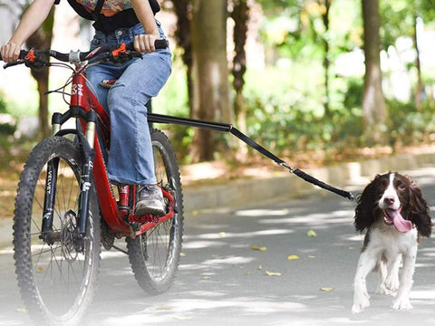 Cycling Dog Leash, Bike Riding Dog Leash, Hands Free Cycling Dog Walking Leash