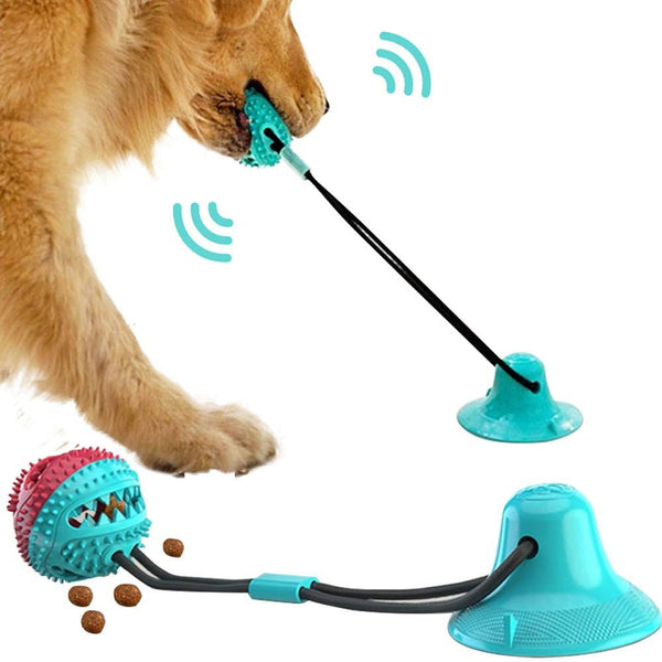 Dog's Interactive Tug of War Toy, Bite Resistant Dog Chew and Play Toy