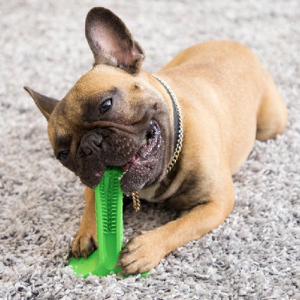 Dog Toothbrush, Dog Chewbrush For Dental Health