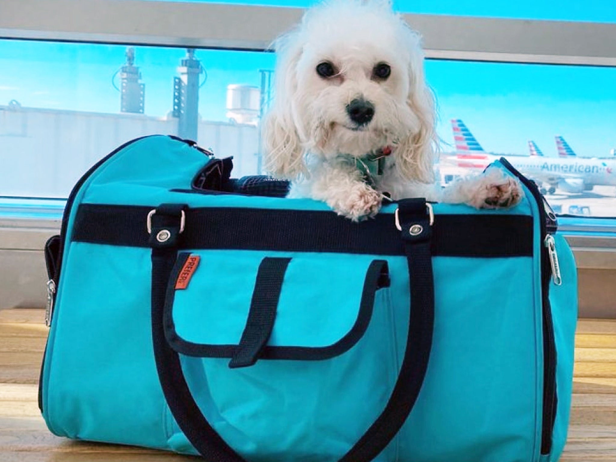 Airline Approved Pet Carrier, On Board Jet Pet Carrier