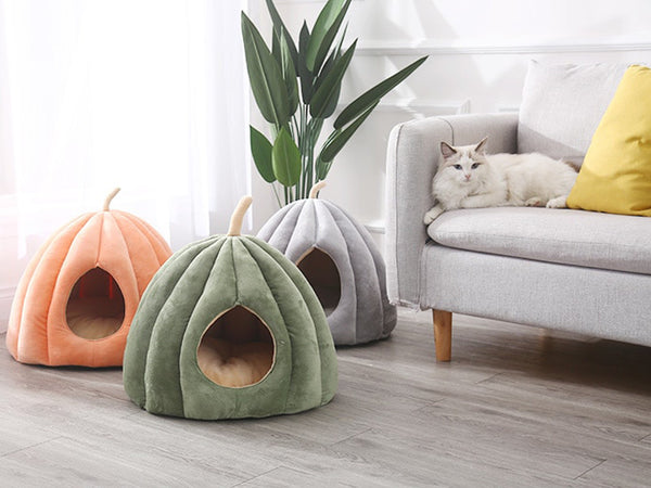 Pumpkin Pet Palace