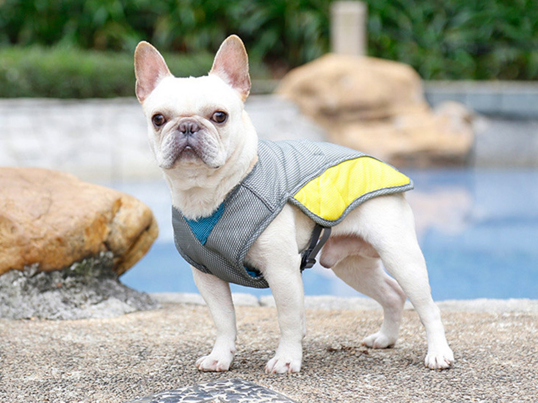 Cooling Dog Vest, Anti Heatstroke Dog Vest, Anti UV Dog Vest