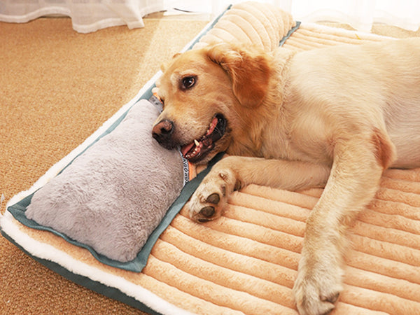 Large Dog Bed In Soft Fleece, Dog Mattress With Bolster Pillow