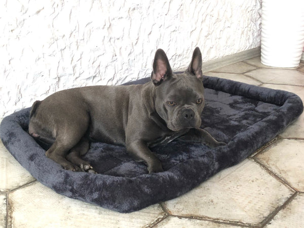 Fluffy Fleece Soft Padded Dog and Cat Mat, Dog padded Mat