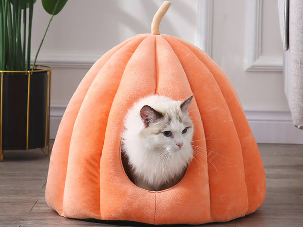 Pumpkin Pet Palace