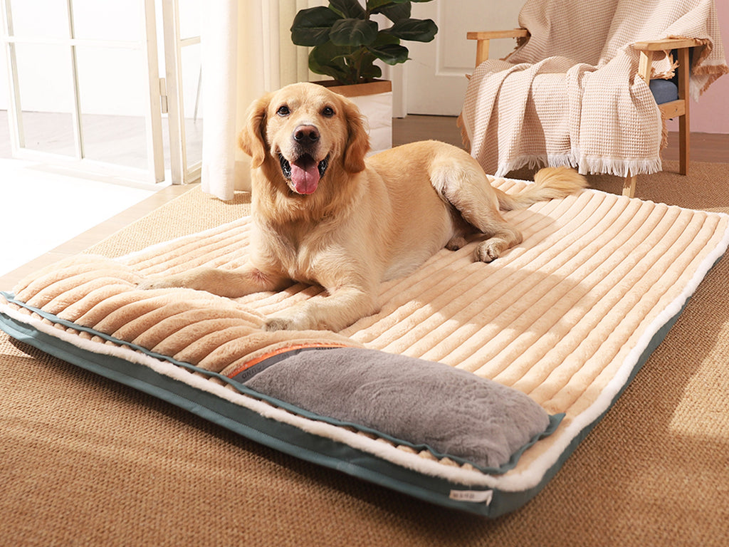 Large dog hotsell mattress bed