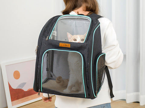 Cat Backpack Carrier, Cat Carrier Backpack, Foldable Pet Carrier