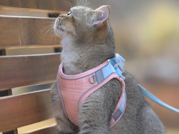 Cat Harness and Leash Set, Cat Breathable Harness and Rope in Pastel Colours