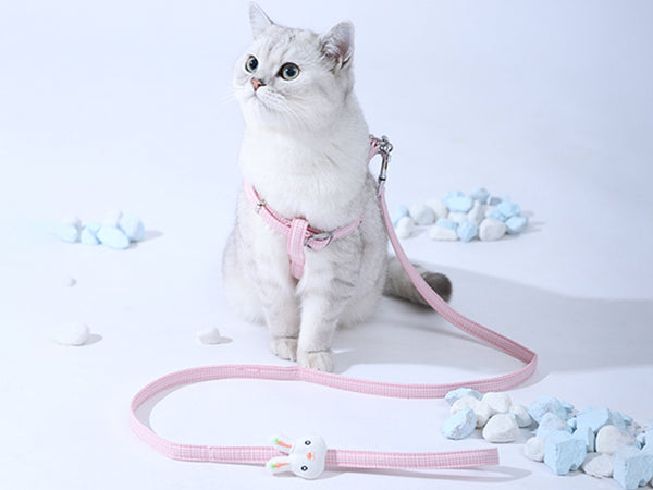 Cat Harness and Leash, Small Dog Leash and Harness