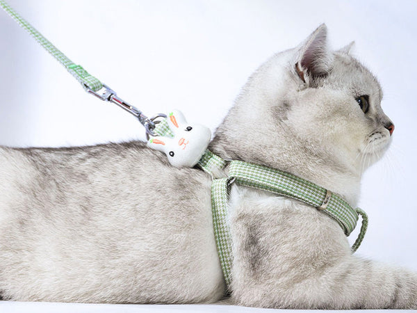 Cat Harness and Leash, Small Dog Leash and Harness