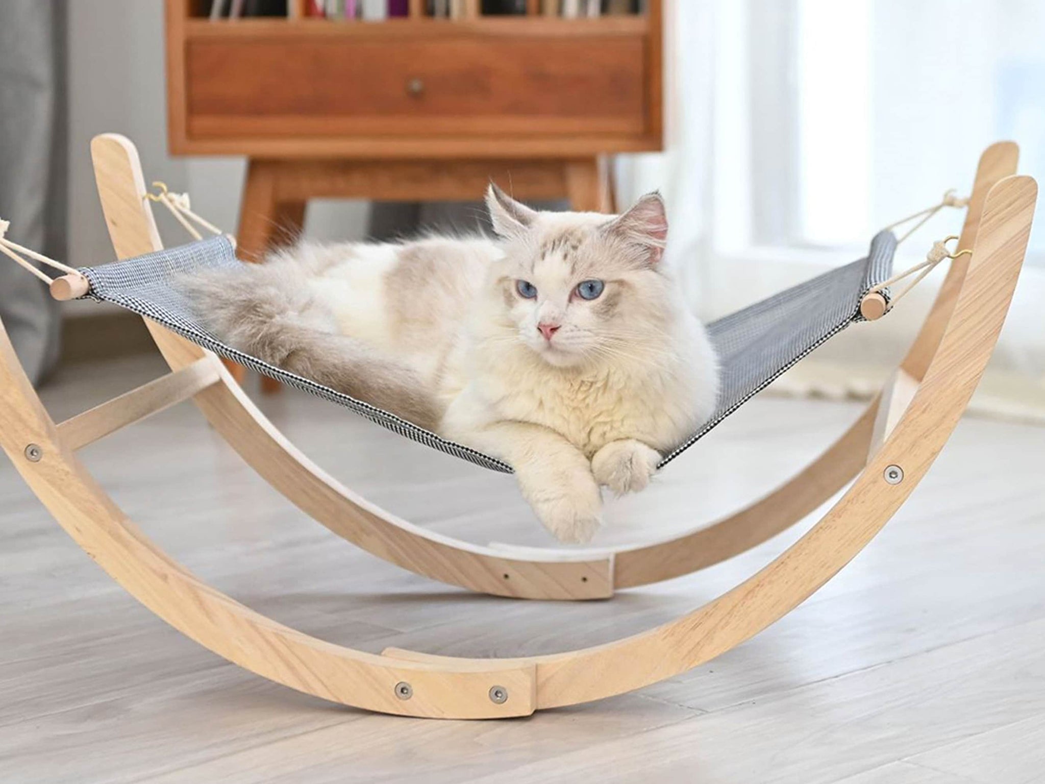 Cat Rocking Chair in Wood and Canvas Cat Rocking Hammock Chair PetStoreStudio