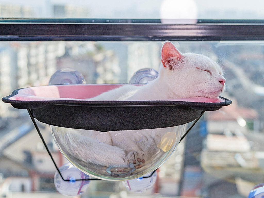 Cat Bubble Window Perch Cat Window Seat Cat Hammock PetStoreStudio