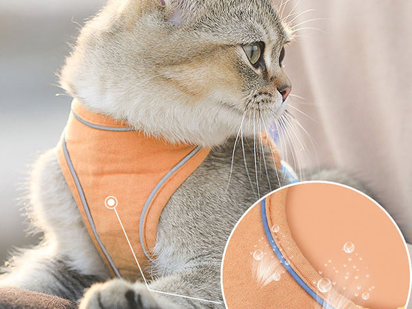 Cat Harness and Leash Set, Cat Breathable Harness and Rope in Pastel Colours