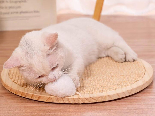 Sisal and Wood Cat Scratching Board, Window Mounted Cat Scratching Board, Natural Claw Sharpening Cat Mat