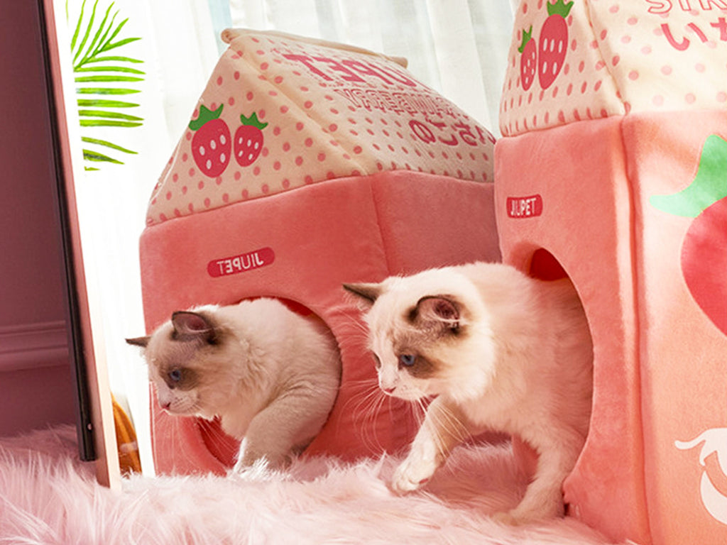 Strawberry Milk Carton Cat Bed – CatCo