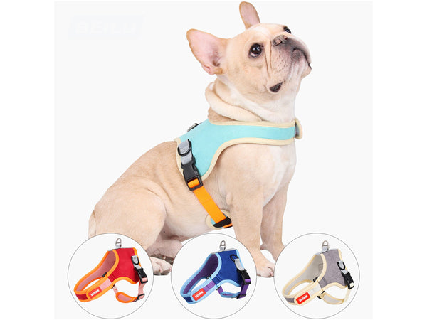 Dog Leash and Harness Set in Faux Suede, Saddle Dog Harness and Leash