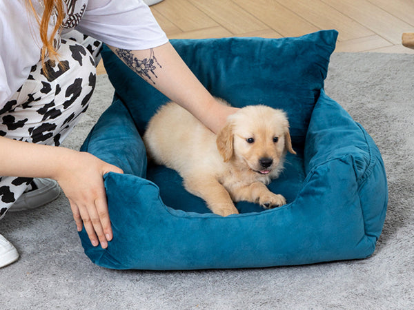 Teal Car Seat For Dogs, Washable Car Seat For Pets, Booster Travel Car Seat For Cats And Dogs