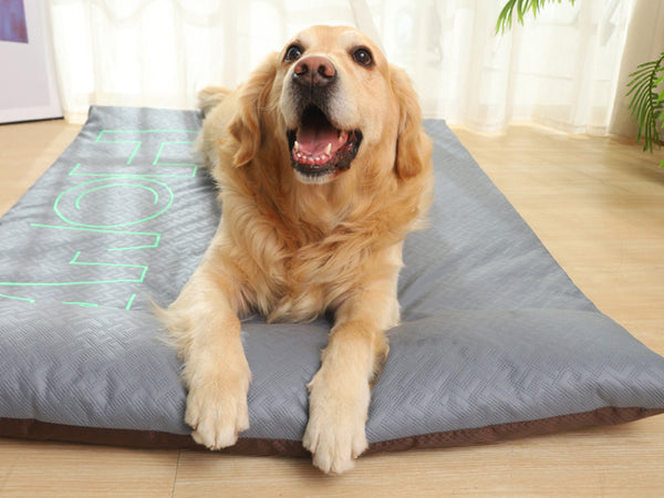 Padded Pet Sleeping Pad, Cat Sleeping Mattress, Dog Padded Mat, Sleeping Pad For Pets