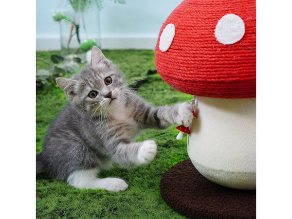 Sisal Cat Scratching Mushroom Toy, Claw Sharpening Toy For Cats, Cat Claw Sharpening Board